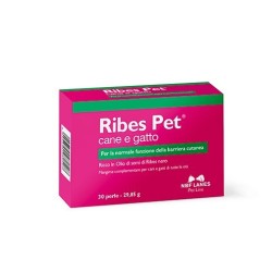 Ribes Pet Perle 30cmp