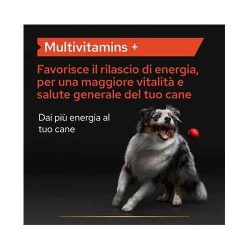 Pro Plan Dog Supplements Multivitamins+ 45 Compresse