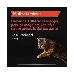 Pro Plan Cat Supplements Multivitamins+ Polvere 60gr