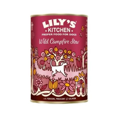 Lily's Kitchen Dog Umido Wild Campfire Stew Lattina 400gr