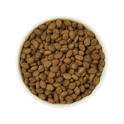 Lily's Kitchen Dog Secco Adult Lamb Shepherd's Pie 2,5kg