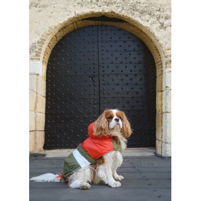 Camon Dog Coat Piumino per Cani Young