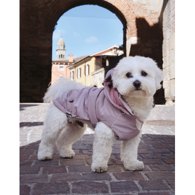 Camon Dog Coat Piumino per Cani Dea