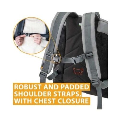Ferplast Zainetto Trasportino per Cani e Gatti Voyager Backpack 350 Misure 29x21xh36cm