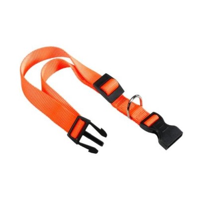 Ferplast Collare per Cani in Nylon Club Arancio Ferplast Collare per Cani in Nylon Club Arancio