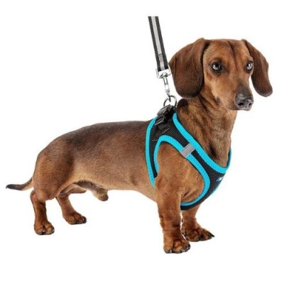 Ferplast Pettorina per Cani Kaori Blu XL Ferplast Pettorina per Cani Kaori Blu XL