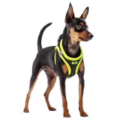Ferplast Pettorina per Cani Kaori Gialla L