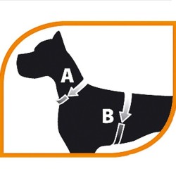 Ferplast Sport Dog Pettorina Blu