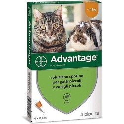 Bayer Advantage 40mg Fialette per Gatti Sotto i 4Kg e Conigli