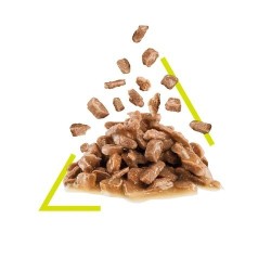 Royal Canin Cat Sensory Smell Bocconcini in Salsa Busta 85 gr
