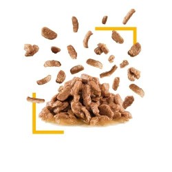 Royal Canin Cat Sensory Taste Bocconcini in Salsa Busta 85 gr