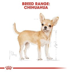 Royal Canin Dog Adult Chihuahua Busta in Patè 85 gr